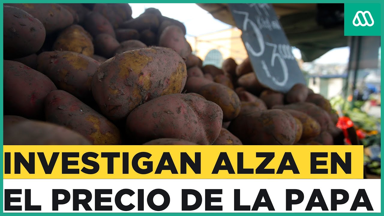 ¿Hay aprovechamiento?: Investigan posible colusión en el precio de la
