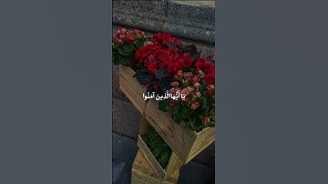 { إِنَّ اللَّهَ وَمَلَائِكَتَهُ يُصَلُّونَ عَلَى النَّبِيِّ } سورة الاحزاب القارئ سعد الغامدي