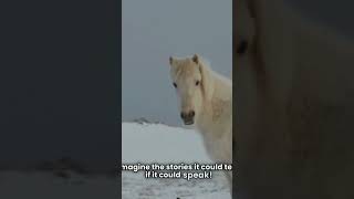 Ancient Horse Discovery Revealed-🥶💯🤯🔥#shortsfeed #youtubeshorts  #viralshorts#Brainwaves995