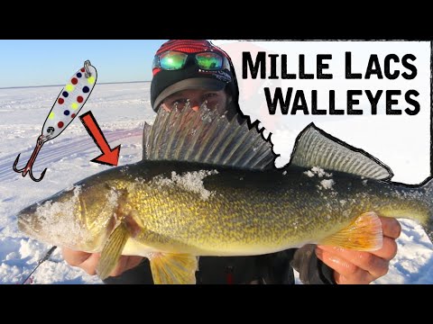 فيديو: ما هي الايماءه لصيد الجليد ل؟