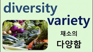 Q5 English Vocabulary Lesson 320 (Variety vs. Diversity)