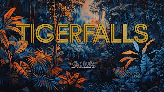 TIGER FALLS Dec 2024 event film