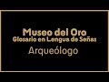 Glosario en Lengua de Señas del Museo del Oro | Término: Arqueólogo