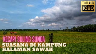 Suasana Pedesaan kampung di sawah suling sunda kecapi