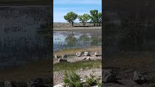 Çamping near lake in arizona #arizona #arizonadesert #lakeview #overnightcamping #vanlife