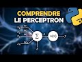 Perceptron en Python : Guide et Exemple 🧠