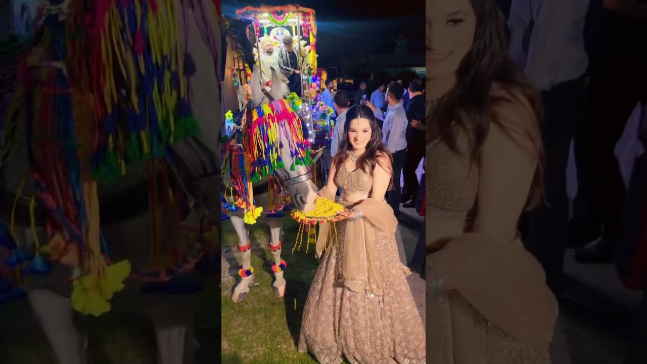 Shivani l sp maan #wedding #gidhasteps #weddingceremony #punjabiboliyaan #love #latestpunjabsong