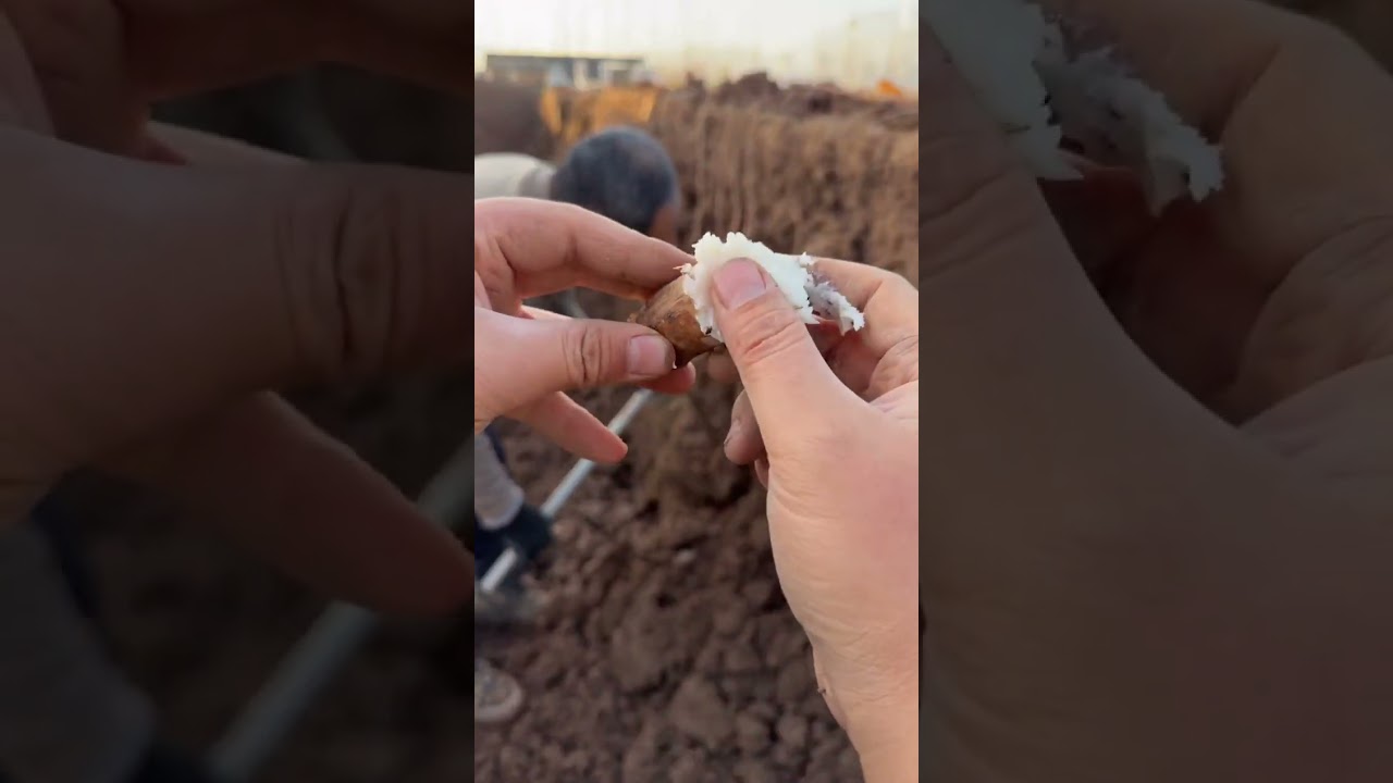 Love or not love, say it at first,