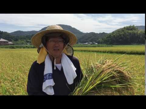 夢つくし