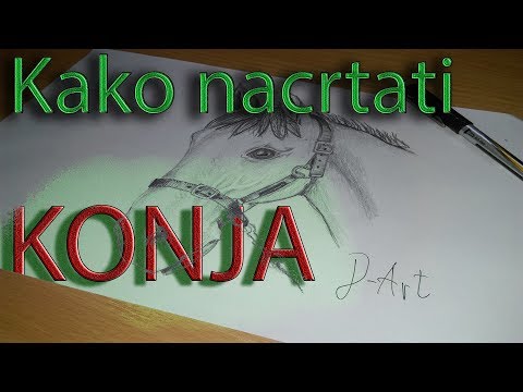 Video: Kako Nacrtati Uzgoj Konja