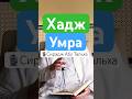 Хадж и Умра || Сирадж Абу Тальха #ислам #хадж #умра