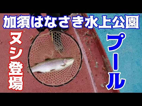 加須はなさき水上公園プールトラウトでヌシの大物ニジマスが釣れた！