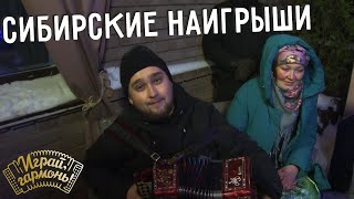 Сибирские наигрыши | Вячеслав Агеев (г. Новосибирск) | Играй, гармонь!