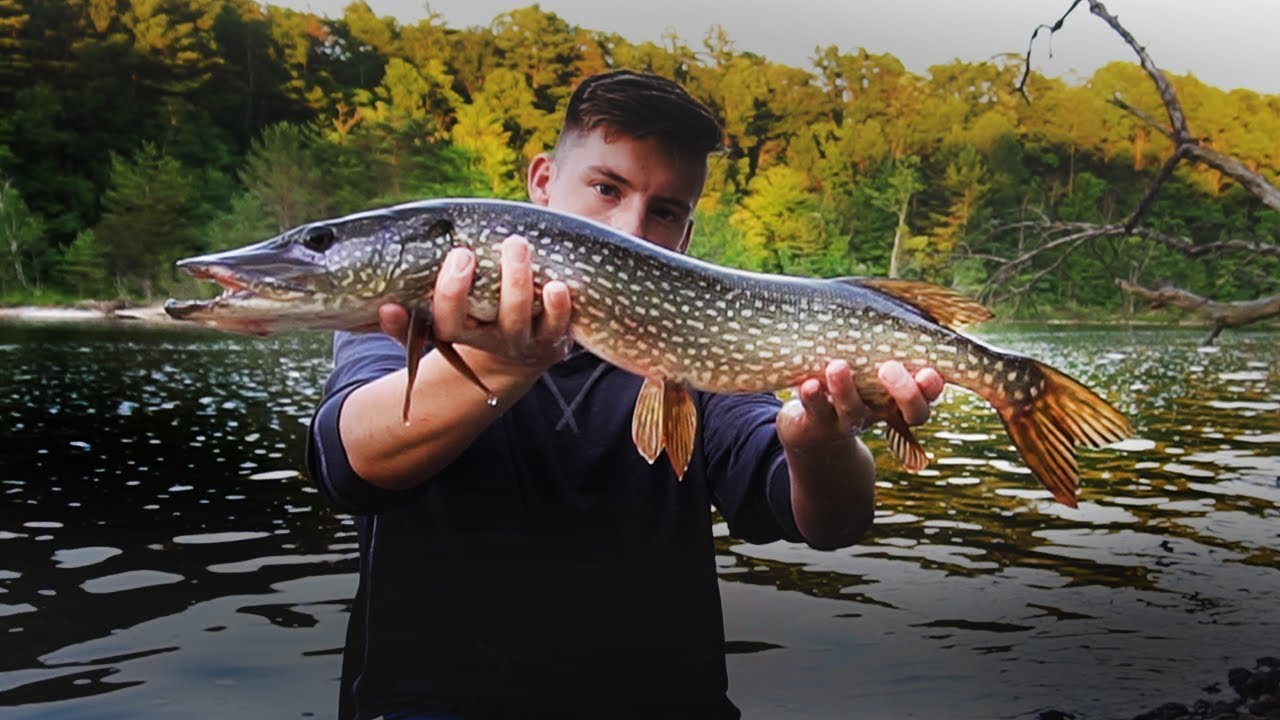 River Pike on Topwater Fish Fray goes Fishing YouTube