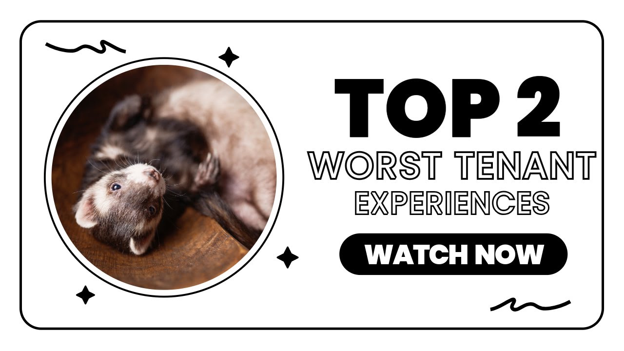 Our Worst Tenant Stories (You Won't Believe This!)