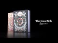The Jesus Bible, Artist Edition by Zondervan (Cover by Artist Joshua Noom)