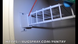 HOW TO PROPERLY TREAT A PANTRY for MEAL MOTHS, WEEVILS, GRAIN BORERS AND MORE by U-Spray Bugspray 197 views 1 year ago 25 minutes