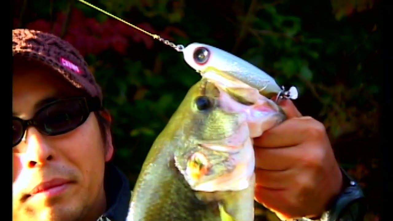 紅葉のブルーベリーポンド舞台に「ニンナ」松山和仁トップウォーターゲームで連続ヒット!! 川で鍛えたニンナプラグの実力を改めて知ることになりました。ALVANTVチャンネル登録で他作品もお楽しみ下さい。