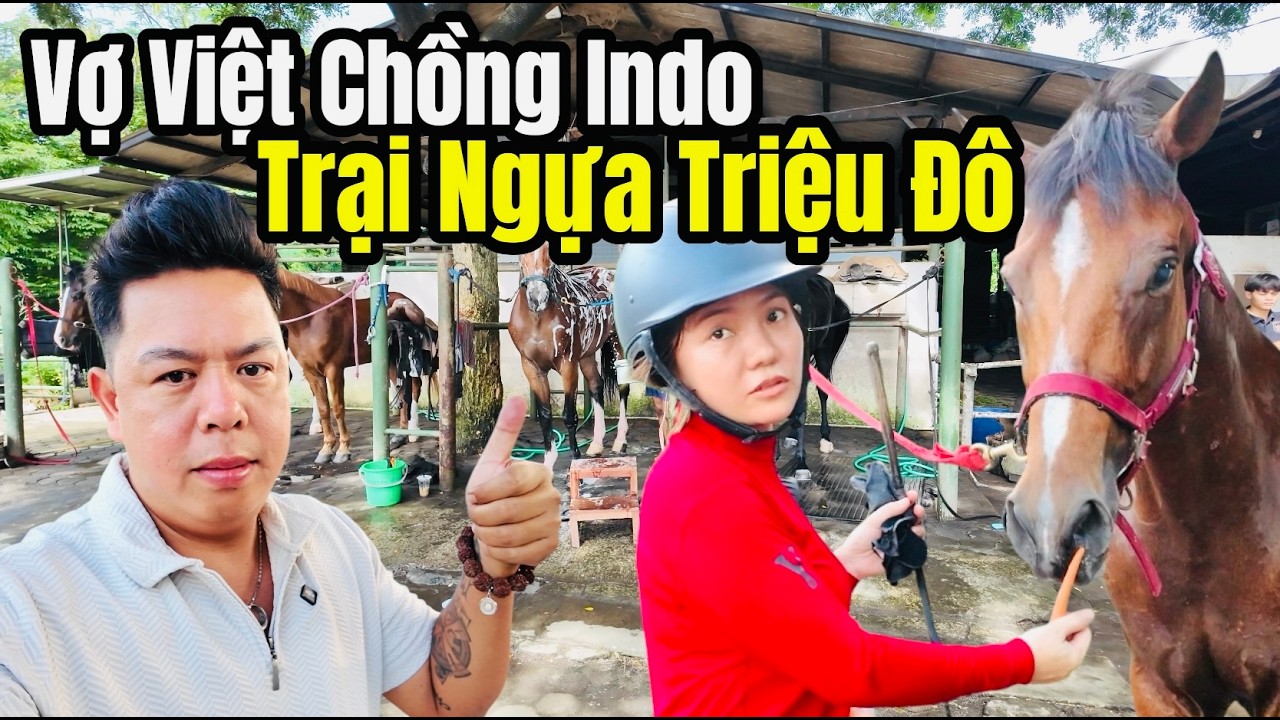 Trại Ngựa Triệu Đô Của Vợ Việt Chồng Indonesia