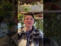 FG26 Promo: QueerFantasia, directed by ashley hollingshead