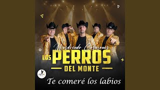 TE COMERÉ LOS LABIOS
