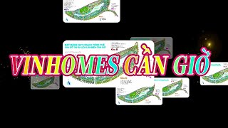 Khu Đô Thị Lấn Biển Vinhomes Cần Giờ Rộng 2.870Ha, Vốn Đầu Tư 9 Tỷ Usd Có Toà Tháp Cao 108 Tầng