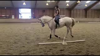 Flat lesson- lateral work