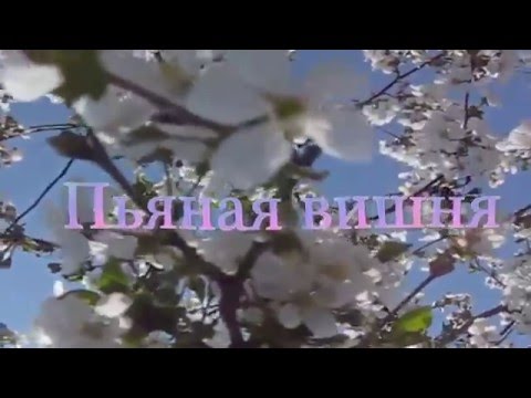 Галина Журавлёва - Пьяная вишня (ремейк)