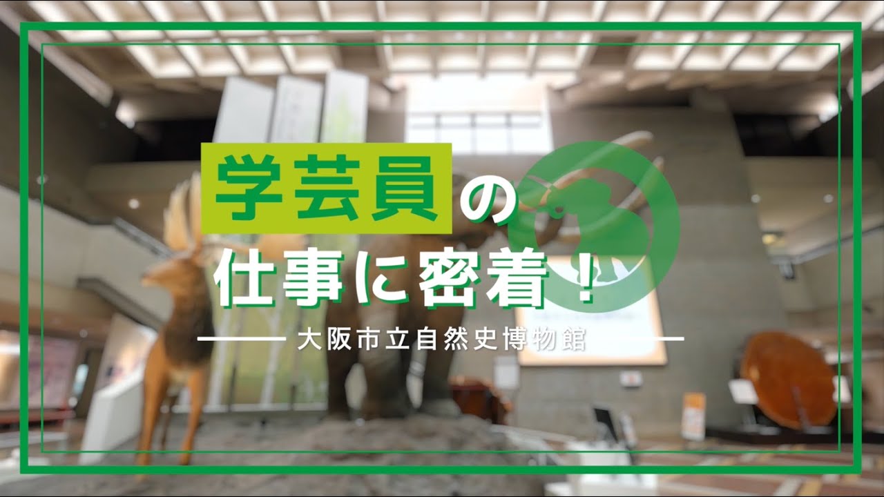 学芸員の仕事に密着！　大阪市立自然史博物館