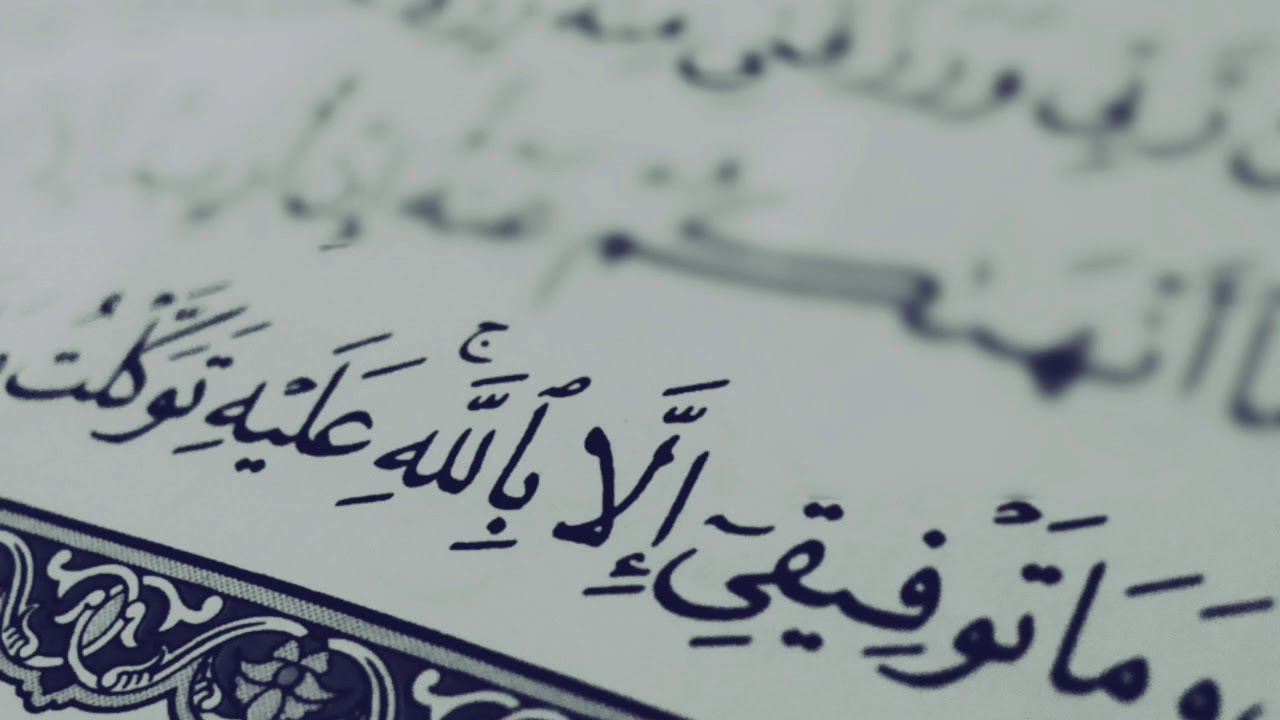 تلاوات رائعة بصوت الشيخ احمد حمادي | أرح بها قلبك