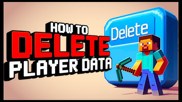 How to Delete Minecraft Playerdata - Scalacube