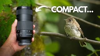 Sony's New Budget 100-400: Worth the Compromise? screenshot 3