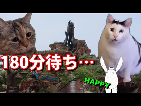 東京ディズニーランドでの１日 Happyベイマックス 猫ミーム 猫マニ ディズニーあるある