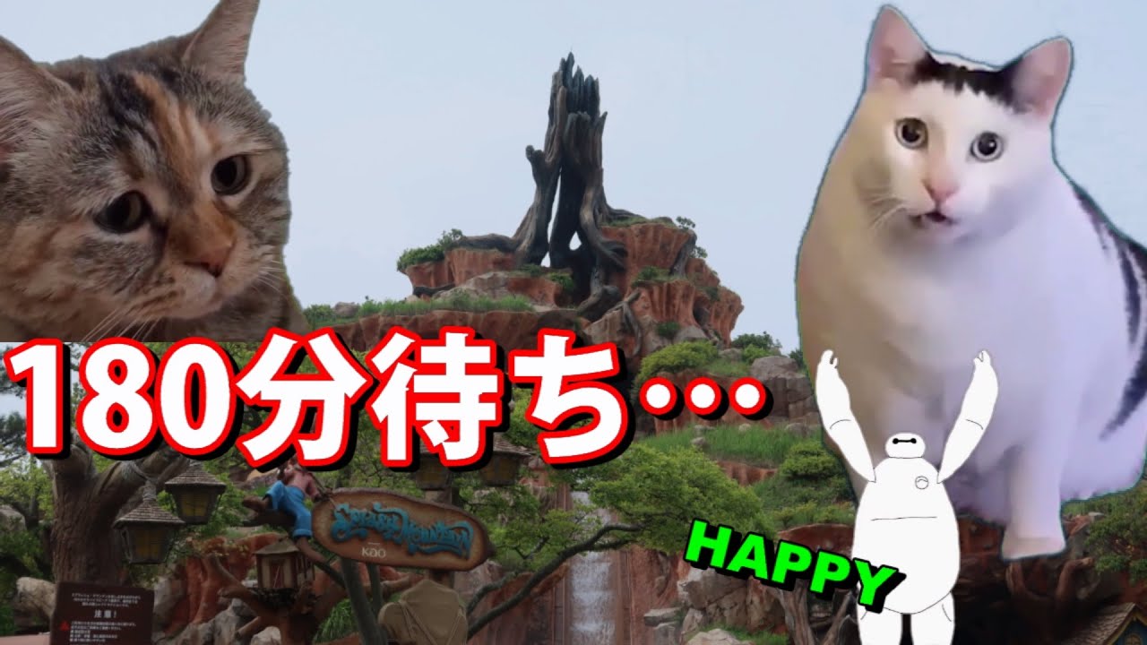 東京ディズニーランドでの1日 【happyベイマックス】 #猫ミーム #猫