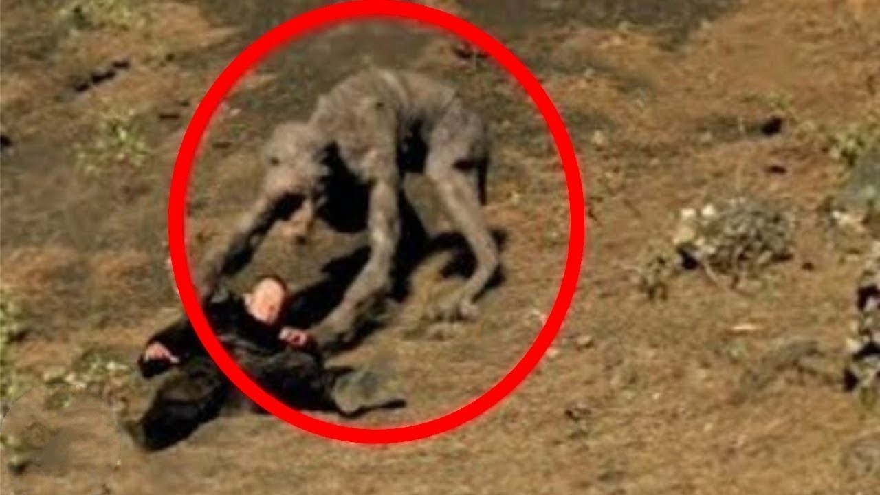 20 Gruseligsten Kreaturen, die mit einer Kamera eingefangen wurden