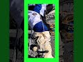 Smart cooling hack for those long, hot rides! Stay fresh on the track. 🏍️💧 #Motocross #BikeHacks