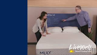 WellFlex 1.0 - Extra Firm and Designed for the Heavier Sleeper