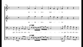 Benedetto Marcello: Questa che al ciel s'innalza (Psalm 47)