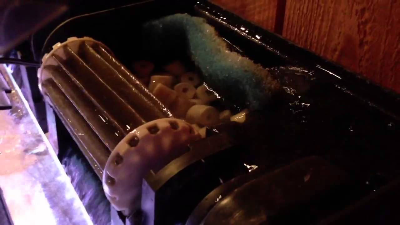 Biowheel that does spin YouTube