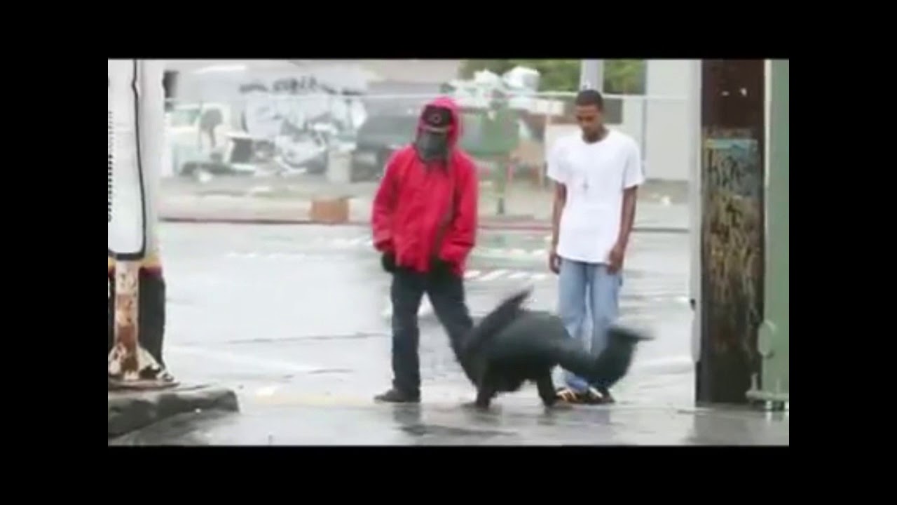 Watch POP A PILL - ALEETA AKA LEETA B #POPAPILL #TCROMAN #BAYAREA #WESTCOAST #TURFTALK #TURFDANCE #HYPHY on YouTube Watch POP A PILL - ALEETA AKA LEETA B #POPAPILL #TCROMAN #BAYAREA #WESTCOAST #TURFTALK #TURFDANCE #HYPHY on YouTube