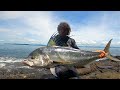 Big Roosterfish On Surface lure - Testing Long Cast Travel Rod part 2