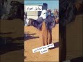 نوايل احرار