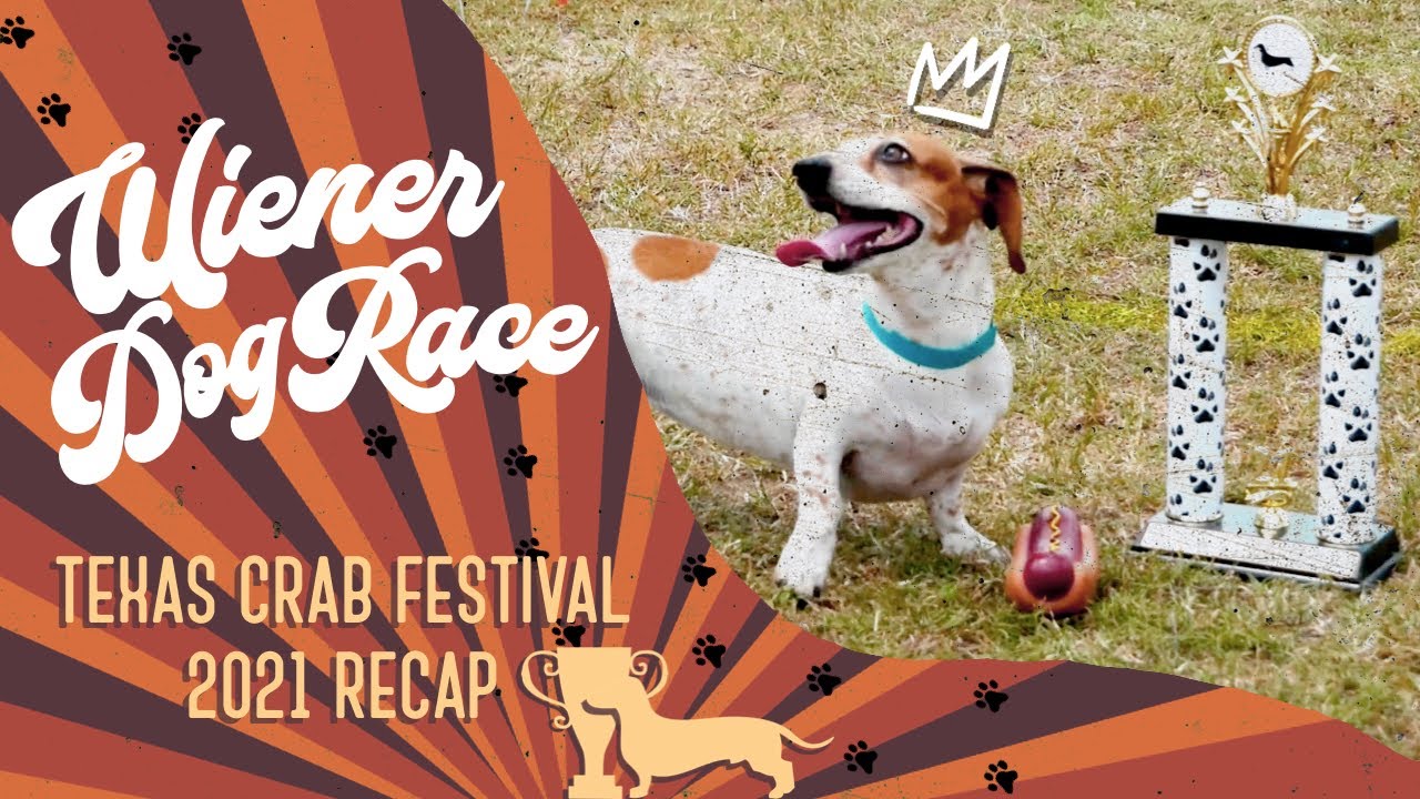 Wiener Dog Race Recap TX CRAB FESTIVAL 2021 Hosted by Island Church