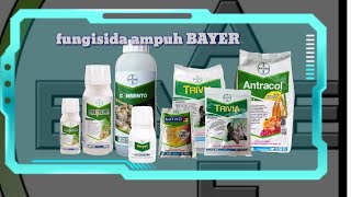fungisida dari bayer
