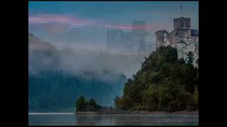 F.CHOPIN: polonaise op.26 no.2 - M.POLLINI