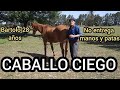 BARTOLO CABALLO DE 28 AÑOS HACE 6 AÑOS QUE ES CIEGO Y NECESITABA AYUDA PARA SUPERAR SUS MIEDOS