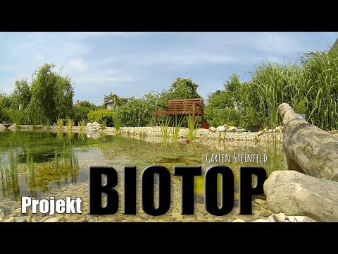 projekt-biotop---wir-gestalten-ein-biotop-im-garten-steinfeld-2017