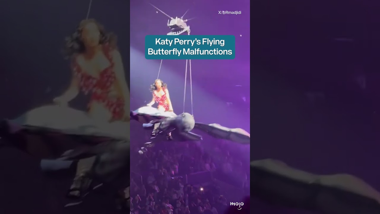 Katy Perry Flying Machine Malfunction