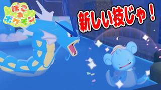 #20【ギャラドスに新しい技を教えてもらおう!】ホワイトボードを探しに行ったが…?【ぽこあポケモン実況】