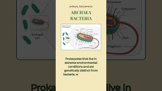 What are Archaea? – Unique prokaryotes found in extreme environments | @Anthara_EduConnects